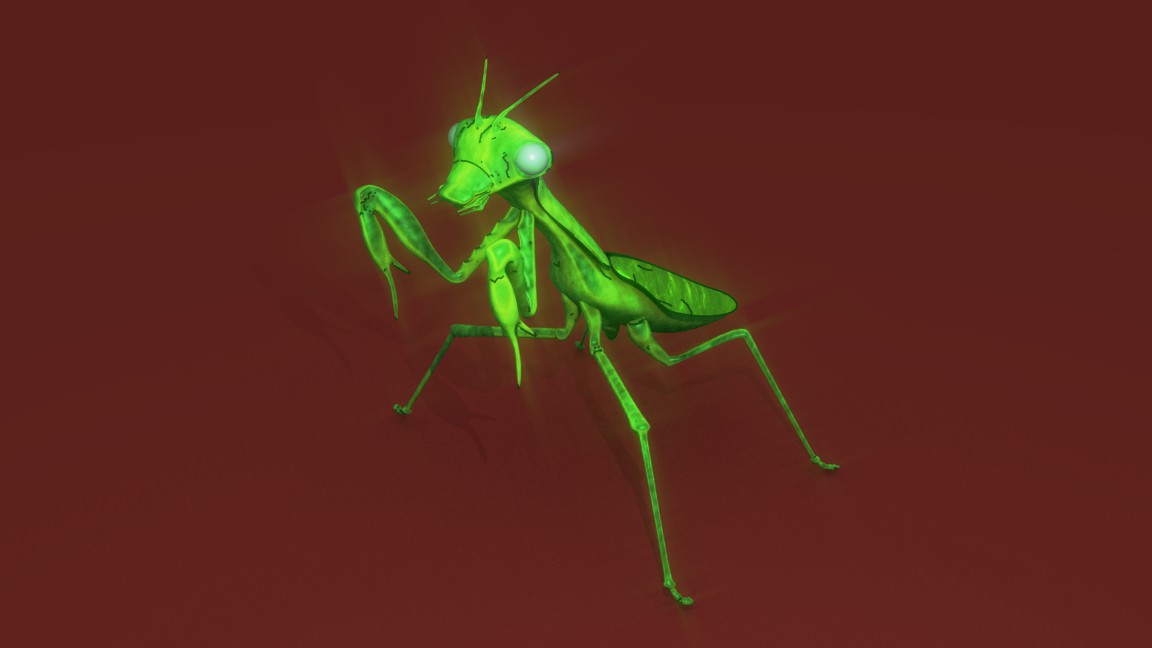 Clic en la imagen para ver su versión completa. 

Nombre: Mantis3.jpg 
Visitas: 4136 
Tamaño: 42.9 KB 
ID: 189730