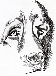 Clic en la imagen para ver su versión completa. 

Nombre: boceto011.jpg 
Visitas: 344 
Tamaño: 87.7 KB 
ID: 191122