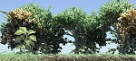 Clic en la imagen para ver su versión completa. 

Nombre: bosque.jpg 
Visitas: 111 
Tamaño: 347.8 KB 
ID: 191309