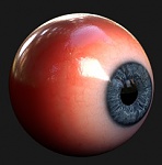 Clic en la imagen para ver su versión completa. 

Nombre: ojo3.jpg 
Visitas: 704 
Tamaño: 34.4 KB 
ID: 192893