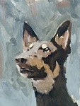 Clic en la imagen para ver su versión completa. 

Nombre: 04dog.jpg 
Visitas: 80 
Tamaño: 48.6 KB 
ID: 208758