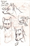Clic en la imagen para ver su versión completa. 

Nombre: Wolf furless_head.jpg 
Visitas: 827 
Tamaño: 195.8 KB 
ID: 210950