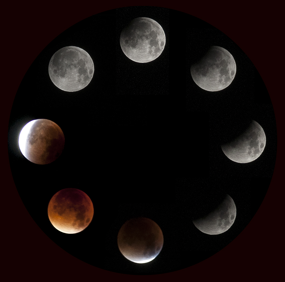 Nombre:  lua sangue fases.jpg
Visitas: 270
Tamaño: 242.7 KB