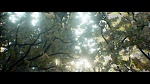 Clic en la imagen para ver su versión completa. 

Nombre: UE4SunnySummer3S.jpg 
Visitas: 241 
Tamaño: 765.0 KB 
ID: 212920