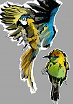 Clic en la imagen para ver su versión completa. 

Nombre: BIRDS01.jpg 
Visitas: 146 
Tamaño: 3.66 MB 
ID: 214504