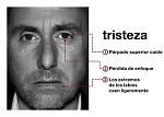 Clic en la imagen para ver su versión completa. 

Nombre: tristeza.jpg 
Visitas: 1769 
Tamaño: 18.7 KB 
ID: 215504