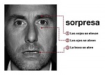 Clic en la imagen para ver su versión completa. 

Nombre: sorpresa.jpg 
Visitas: 535 
Tamaño: 18.2 KB 
ID: 215506