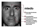 Clic en la imagen para ver su versión completa. 

Nombre: miedo.jpg 
Visitas: 614 
Tamaño: 21.8 KB 
ID: 215508