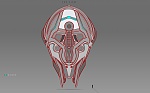 Clic en la imagen para ver su versión completa. 

Nombre: spaceship02.jpg 
Visitas: 108 
Tamaño: 484.8 KB 
ID: 217064