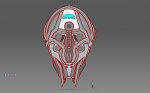 Clic en la imagen para ver su versión completa. 

Nombre: spaceship03.jpg 
Visitas: 148 
Tamaño: 488.3 KB 
ID: 217065