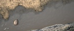 Clic en la imagen para ver su versión completa. 

Nombre: Tierra-agua-roca-pared.jpg 
Visitas: 646 
Tamaño: 443.0 KB 
ID: 217239