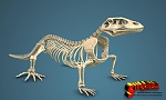 Clic en la imagen para ver su versión completa. 

Nombre: Komodo-Fin-Logo2.jpg 
Visitas: 3676 
Tamaño: 766.5 KB 
ID: 217849
