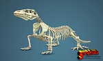 Clic en la imagen para ver su versión completa. 

Nombre: Komodo-Fin-Lolo1.jpg 
Visitas: 1955 
Tamaño: 721.6 KB 
ID: 217850