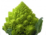 Clic en la imagen para ver su versión completa. 

Nombre: verduras_romanescu_big.jpg 
Visitas: 592 
Tamaño: 27.5 KB 
ID: 218108