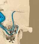 Clic en la imagen para ver su versión completa.&nbsp;

Nombre: hueso_1.jpg&nbsp;
Visitas: 1865&nbsp;
Tamaño: 58.4 KB&nbsp;
ID: 219899