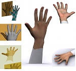 Clic en la imagen para ver su versión completa. 

Nombre: hand___mano_humana_by_seinick-d4ygor6.jpg 
Visitas: 74 
Tamaño: 98.7 KB 
ID: 221071
