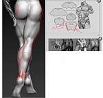Clic en la imagen para ver su versión completa. 

Nombre: piernas.jpg 
Visitas: 256 
Tamaño: 70.3 KB 
ID: 221154