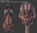 Clic en la imagen para ver su versión completa. 

Nombre: facial_toplogy_animal_human.png 
Visitas: 1684 
Tamaño: 381.5 KB 
ID: 221731
