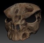 Clic en la imagen para ver su versión completa. 

Nombre: skullbelt.jpg 
Visitas: 132 
Tamaño: 302.1 KB 
ID: 222222