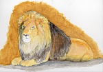 Clic en la imagen para ver su versión completa. 

Nombre: panthera leo_low.jpg 
Visitas: 61 
Tamaño: 87.0 KB 
ID: 222258