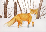 Clic en la imagen para ver su versión completa. 

Nombre: vulpes vulpes_low.jpg 
Visitas: 58 
Tamaño: 85.7 KB 
ID: 222259