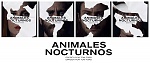Clic en la imagen para ver su versión completa. 

Nombre: animales-nocturnos-pelicula-2016-thriller-criticsight.jpg 
Visitas: 317 
Tamaño: 128.3 KB 
ID: 223261