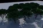 Clic en la imagen para ver su versión completa. 

Nombre: tree1.jpg 
Visitas: 131 
Tamaño: 206.4 KB 
ID: 223724