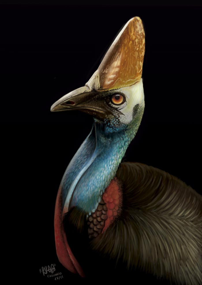 Nombre:  image_daniel_lopez2.jpg
Visitas: 130
Tamaño: 49.3 KB