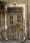 Clic en la imagen para ver su versión completa. 

Nombre: BicicletaConFlores.png 
Visitas: 270 
Tamaño: 1.40 MB 
ID: 227010
