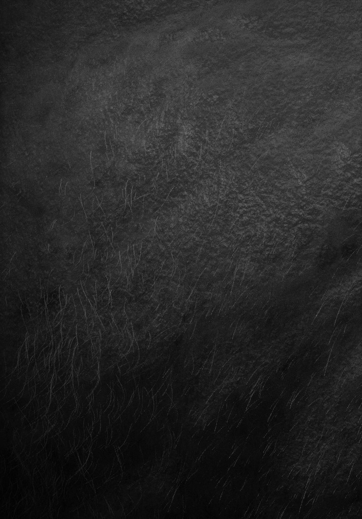 Clic en la imagen para ver su versión completa. 

Nombre: diego-redondo-skindetail.jpg 
Visitas: 833 
Tamaño: 163.3 KB 
ID: 228111