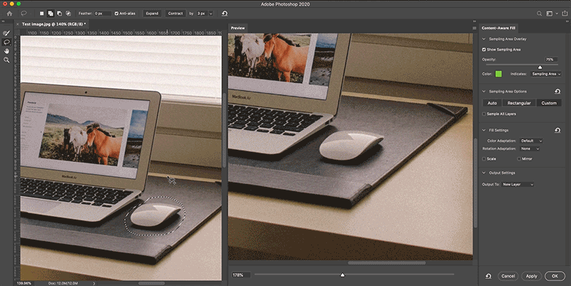 Clic en la imagen para ver su versión completa. 

Nombre: ps-2020-release-content-aware-gif-short2.gif 
Visitas: 2585 
Tamaño: 5.52 MB 
ID: 230393
