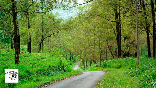 Nombre:  transformar_paisaje_verano_invierno_1.gif
Visitas: 1110
Tamaño: 432.2 KB