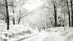Clic en la imagen para ver su versión completa. 
Nombre: transformar_paisaje_verano_invierno_2.jpg 
Visitas: 1146 
Tamaño: 104.2 KB 
ID: 230619