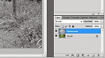 Clic en la imagen para ver su versión completa. 

Nombre: transformar_paisaje_verano_invierno_10.jpg 
Visitas: 87 
Tamaño: 32.8 KB 
ID: 230627