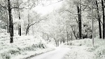 Clic en la imagen para ver su versión completa. 

Nombre: transformar_paisaje_verano_invierno_21.jpg 
Visitas: 95 
Tamaño: 57.5 KB 
ID: 230638