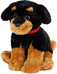 Clic en la imagen para ver su versión completa. 

Nombre: la_isla_de_los_perros_central.png 
Visitas: 374 
Tamaño: 147.4 KB 
ID: 231080