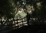 Clic en la imagen para ver su versión completa. 

Nombre: Mirador04.jpg 
Visitas: 240 
Tamaño: 928.3 KB 
ID: 233335
