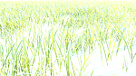 Clic en la imagen para ver su versión completa. 

Nombre: hib.png 
Visitas: 2850 
Tamaño: 625.0 KB 
ID: 233850