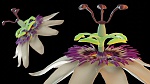 Clic en la imagen para ver su versión completa. 

Nombre: render_01.jpg 
Visitas: 77 
Tamaño: 333.0 KB 
ID: 235723