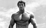 Clic en la imagen para ver su versión completa. 

Nombre: ostagram-arnold.jpg 
Visitas: 211 
Tamaño: 53.4 KB 
ID: 236484