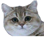 Clic en la imagen para ver su versión completa. 

Nombre: pillo.png 
Visitas: 202 
Tamaño: 49.8 KB 
ID: 237426