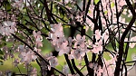 Clic en la imagen para ver su versión completa.
Nombre: SpeedTree de Unity pensado para artistas.jpg
Visitas: 71
Tamaño: 271.0 KB
ID: 239735