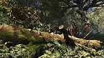 Clic en la imagen para ver su versión completa. 

Nombre: SpeedTree de Unity pensado para desarrolladores.jpg 
Visitas: 75 
Tamaño: 376.3 KB 
ID: 239736
