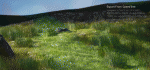 Clic en la imagen para ver su versión completa. 

Nombre: Aquí hay un resumen visual del sombreador.gif 
Visitas: 208 
Tamaño: 5.57 MB 
ID: 240474