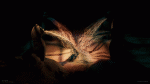 Clic en la imagen para ver su versión completa. 

Nombre: pyro en houdini.gif 
Visitas: 288 
Tamaño: 3.70 MB 
ID: 240697