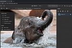 Clic en la imagen para ver su versión completa. 

Nombre: Editor web de Adobe Photoshop.jpg 
Visitas: 474 
Tamaño: 548.1 KB 
ID: 240832