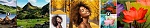Clic en la imagen para ver su versión completa. 

Nombre: Filtros neuronales nuevos y mejorados en Adobe Photoshop.jpg 
Visitas: 449 
Tamaño: 143.1 KB 
ID: 240890