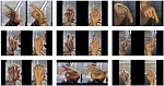 Clic en la imagen para ver su versión completa. 

Nombre: Reconocer poses de manos con un aumento significativo de calidad.jpg 
Visitas: 217 
Tamaño: 122.4 KB 
ID: 241235