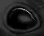 Clic en la imagen para ver su versión completa. 

Nombre: VideoCapture_20211213-024636 - copia 2.jpg 
Visitas: 49 
Tamaño: 17.7 KB 
ID: 241512