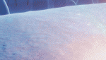 Clic en la imagen para ver su versión completa. 

Nombre: 61c1a90dc5815.gif 
Visitas: 142 
Tamaño: 6.19 MB 
ID: 241676